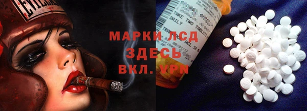 твердый Алзамай