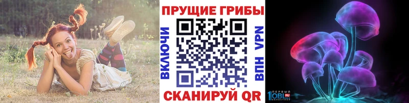 где купить наркотик  Богучар  Псилоцибиновые грибы мухоморы 
